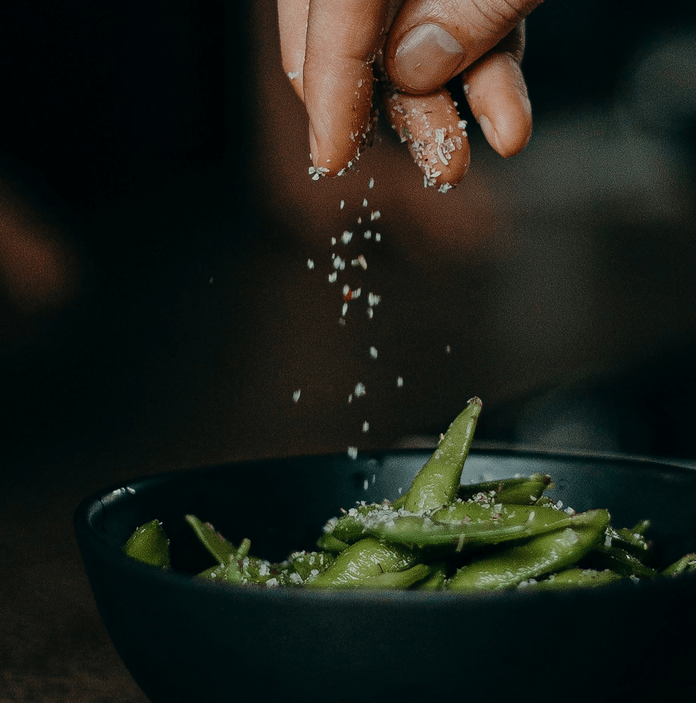 bite agency about us